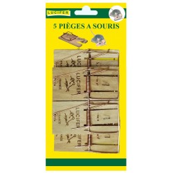 CARTE DE 5 PIEGES A SOURIS...