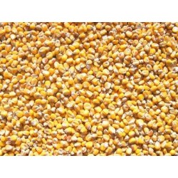 MAIS EXTRA EN 5KG+ LOOS