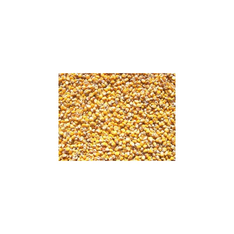 MAIS EXTRA EN 5KG+ LOOS