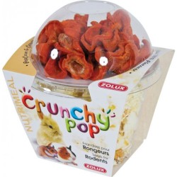 CRUNCHY POP CAROTTE 43GR*...