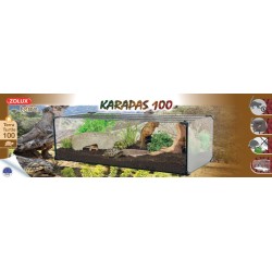 !!!!!! TERRARIUM KARAPAS...