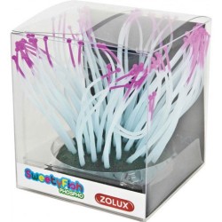 DECOR SWEETYFISH ANEMONE Zolux
