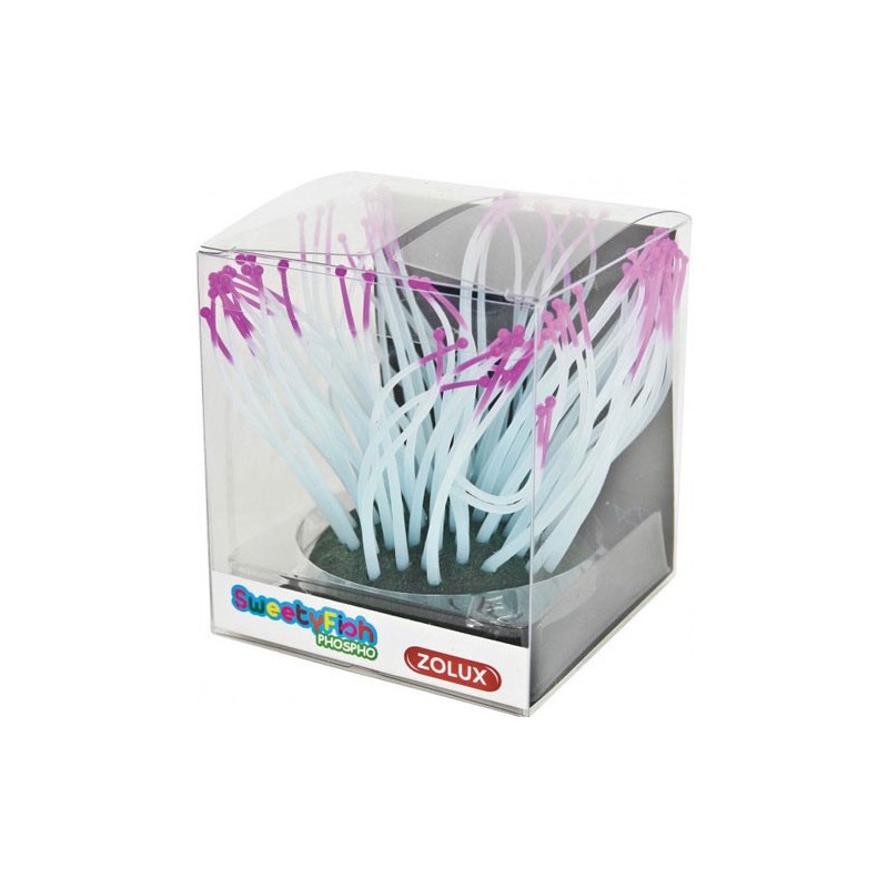 DECOR SWEETYFISH ANEMONE Zolux