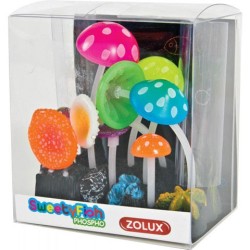 !!!!!  DECOR SWEETYFISH...