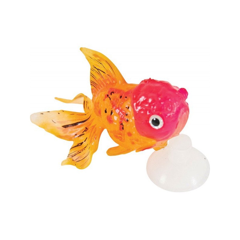 !!!!! DECOR SWEETYFISH LIONHEAD   fds