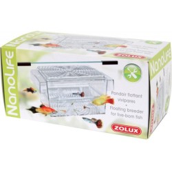 PONDOIR FLOTTANT VIVIPARES...