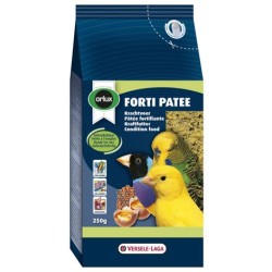 !!!!! FORTI PATEE...