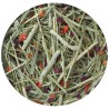 Nature Timothy Hay 1kg versele
