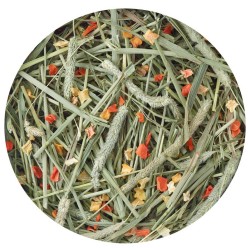 Nature Timothy Hay Carrot & Pumpkin 500g versele