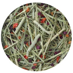 Nature Timothy Hay Beetroot & Tomato 500g versele