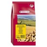 ARACHIDES NON PELEES 1,4KG  versele