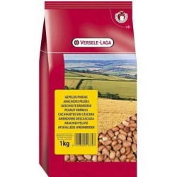 Arachides pelées 1kg+ versele