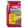 TOURNESOLS STRIEES 600GR* versele