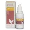 CANTO-VIT LIQUID 30ML**+ versele