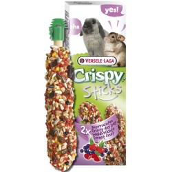 STICKS LAPINS/CHINCHILLAS FRUITS DES BOIS 2pces**+ versele