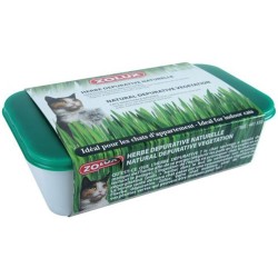 HERBE A CHAT 250GR** Zolux