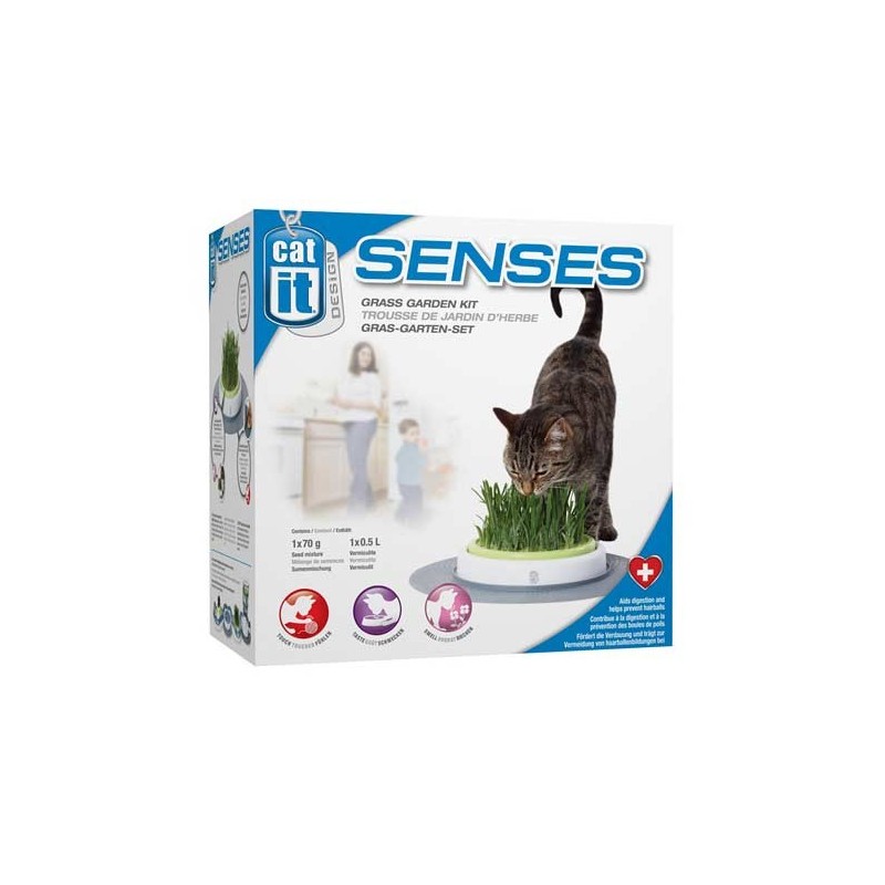 JARDIN HERBE A CHAT