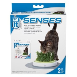 HERBE A CHAT DE RECHANGE...