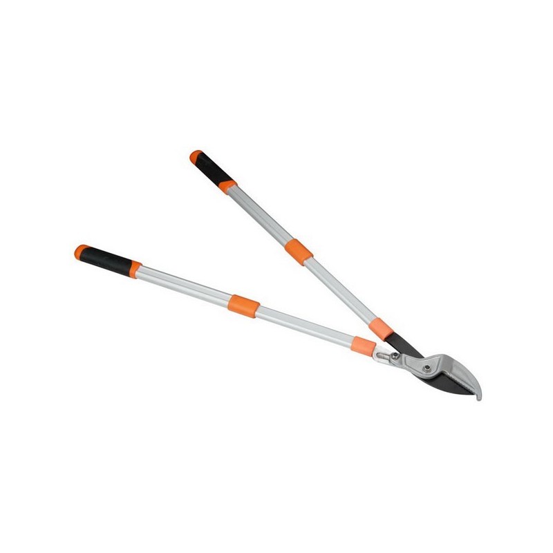 Coupe branches à enclume téléscopique