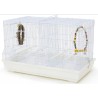 CAGE OISEAU SEPARATION 58 X 32 X 37  6pcs / ctn