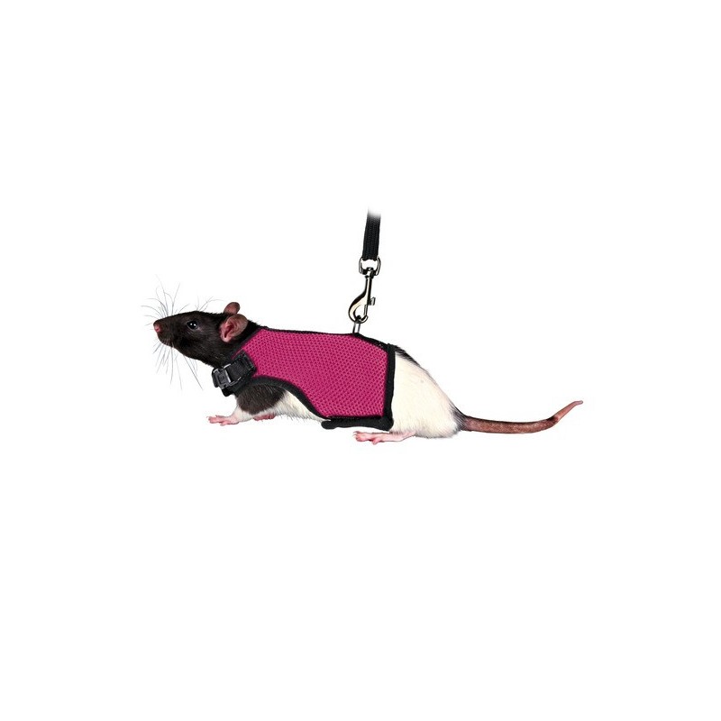 HARNAIS + LAISSE RATS 12-18cm 120cm**+  TRIXIE