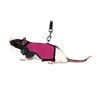 HARNAIS + LAISSE RATS 12-18cm 120cm**+  TRIXIE