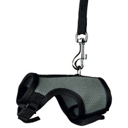 !!!! HARNAIS + LAISSE...