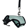 HARNAIS + LAISSE LAPINS 25-32cm 120cm**+  TRIXIE