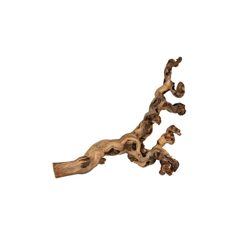 PIED DE VIGNE BRULES XL 55-80cm**+    TRIXIE