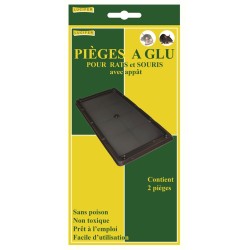 BOITE DE 2 PIEGES A GLU