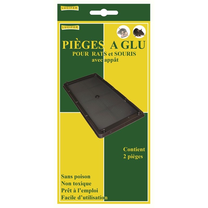 BOITE DE 2 PIEGES A GLU