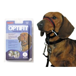 !!!!!!!! COLLIER HALTI...