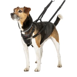 HALTI NO PULL HARNAIS NOIR S** VADI