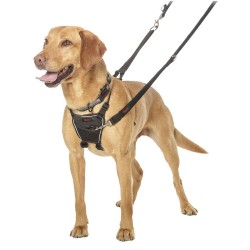 HALTI NO PULL HARNAIS NOIR M* VADI