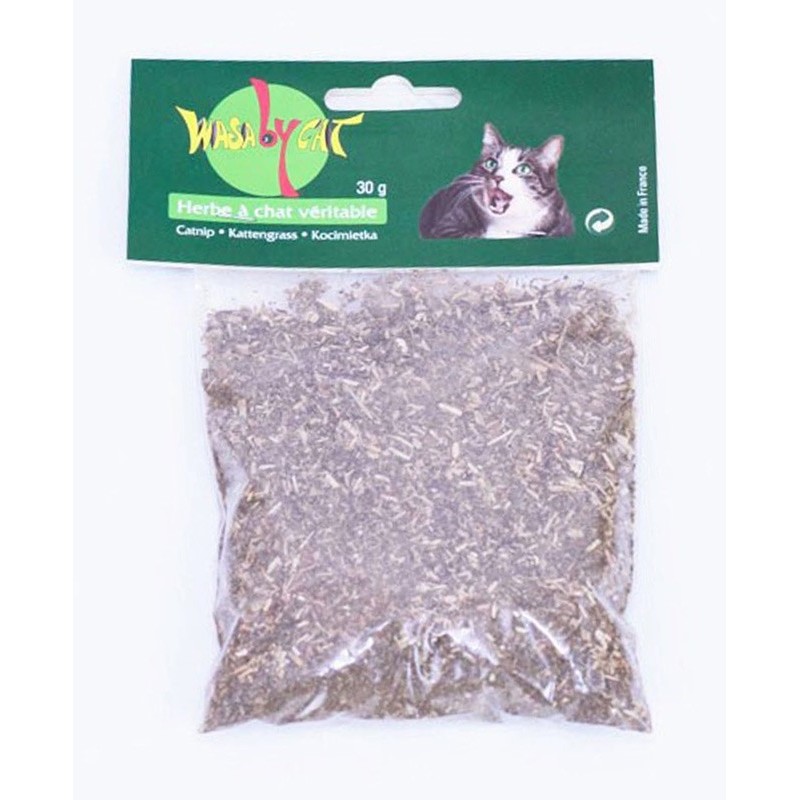 SACHET CATNIP 30gr herbe a chat** Moreau