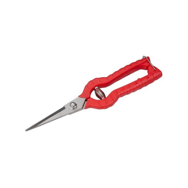 Ciseaux de jardin rouges