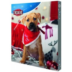 CALENDRIER DE L AVENT POUR...