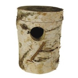 BUCHE GRANDES PERRUCHES...