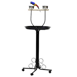 PIED PERROQUET 56 X 56 X...