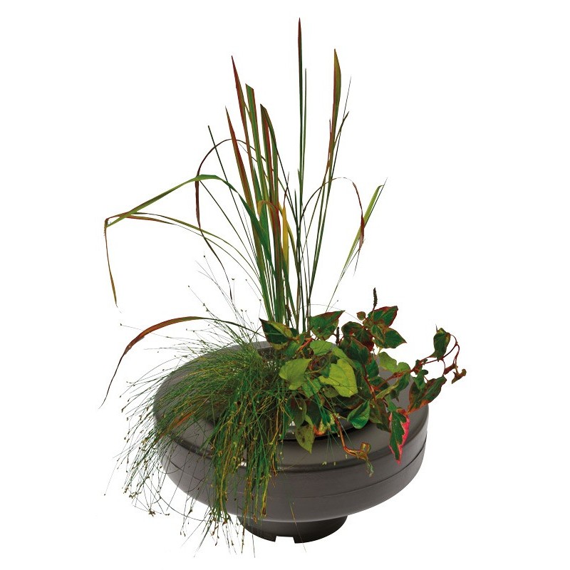 PANIER PLANTE FLOTTANT " Floating plant basket 20 cm"* 06090260