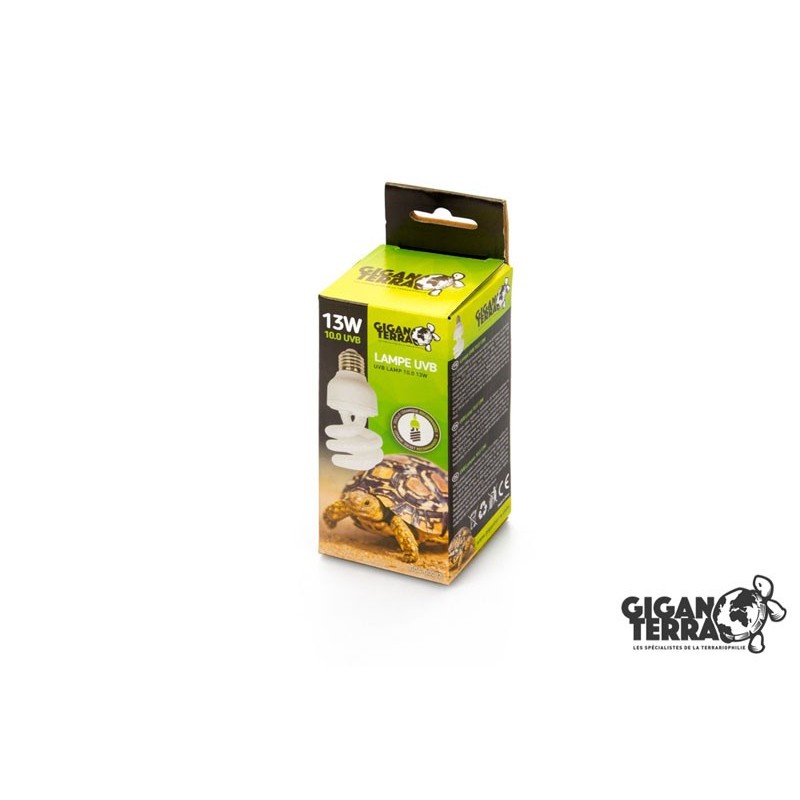 Fluo compact 13w 10.0    Gigan