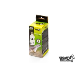 Fluo compact 26w 10.0   Gigan