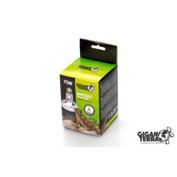 Basking spot 75w   Gigan