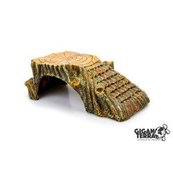 Cachette souche L...