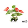 Plante Anthurium rouge 32cm   Gigan