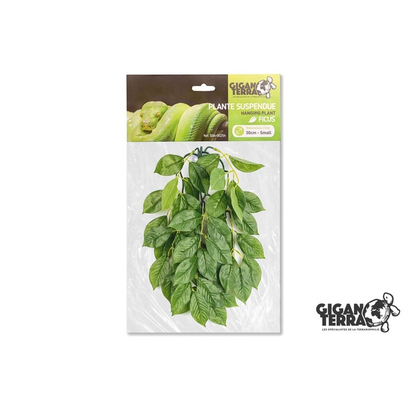 !!!!!    Plante suspendue 3 hauteur 30cm Gigan