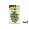 !!!!!    Plante suspendue 3 hauteur 30cm Gigan