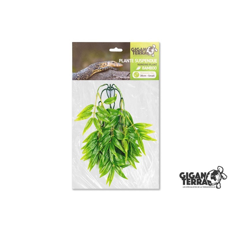 Plante suspendue 4 hauteur 30cm Gigan