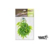 Plante suspendue 4 hauteur 30cm Gigan