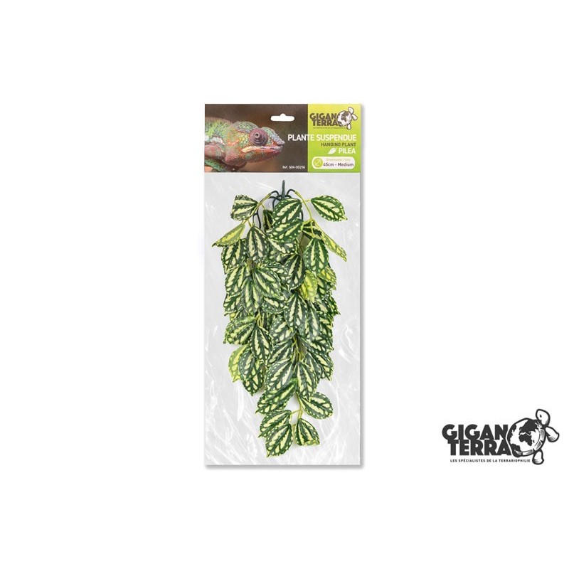 !!!!!    Plante suspendue 1 hauteur 45cm Gigan